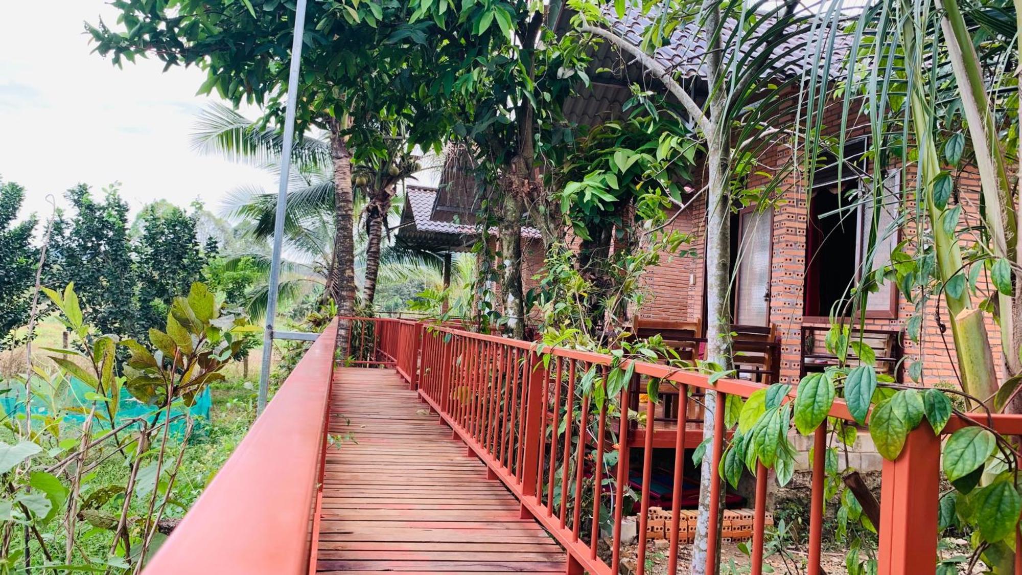 Gibbon Singing Home Stay Quan Tom Exterior foto